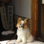 275_DSC01175_2736x3648